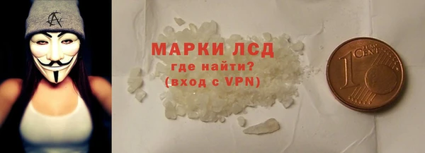 ПСИЛОЦИБИНОВЫЕ ГРИБЫ Баксан